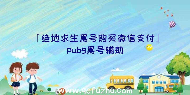 「绝地求生黑号购买微信支付」|pubg黑号辅助